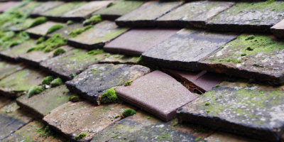 Queens Park roof repair costs